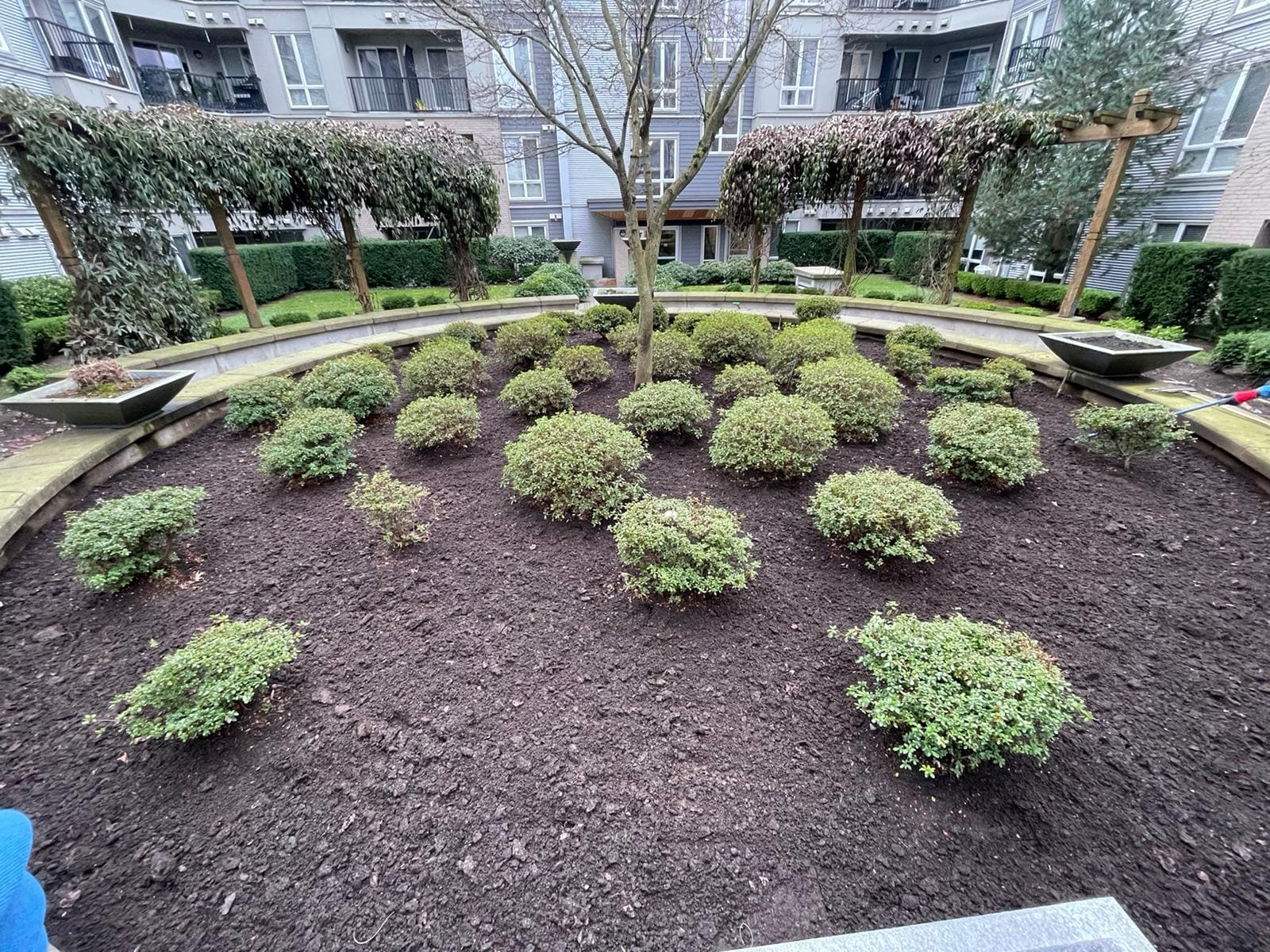 atkinson-landscaping-strata landscaping