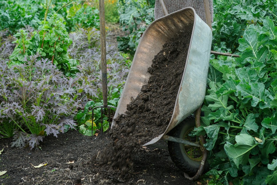 wheel barrow dumping a load of composted bark mulch