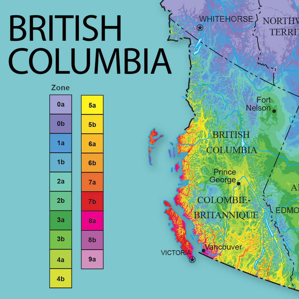 1.BritishColumbia_1000x